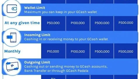 Daily E-Wallet Payment Limits