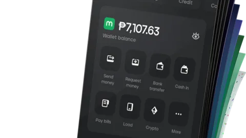 Maya E-Wallet Transfers